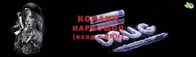 амф Касимов